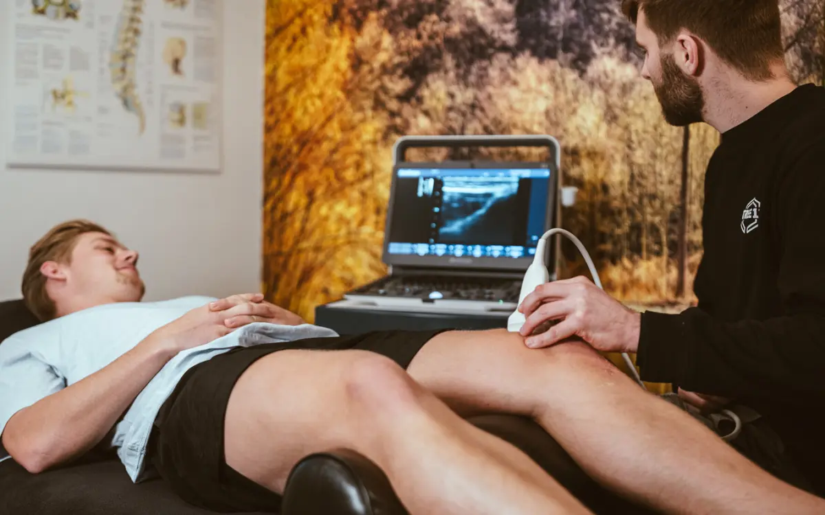 Kwalificeringen fysio TREE11 header