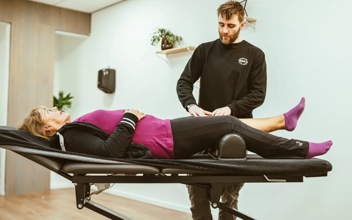 Manuele therapie Alkmaar TREE11